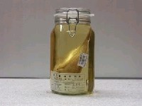 藏品(藍點鰺)的圖片